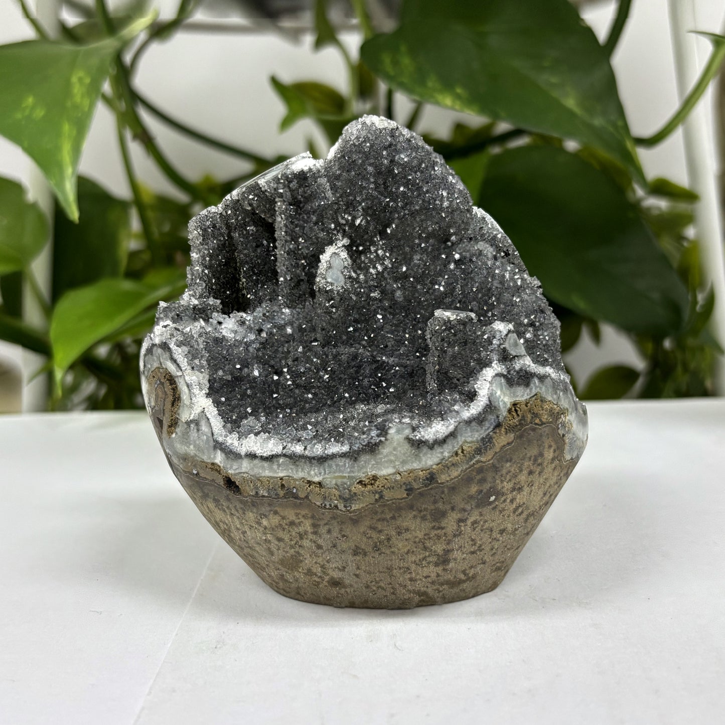 Black Amethyst Cut Base Geode - Gem Avenue