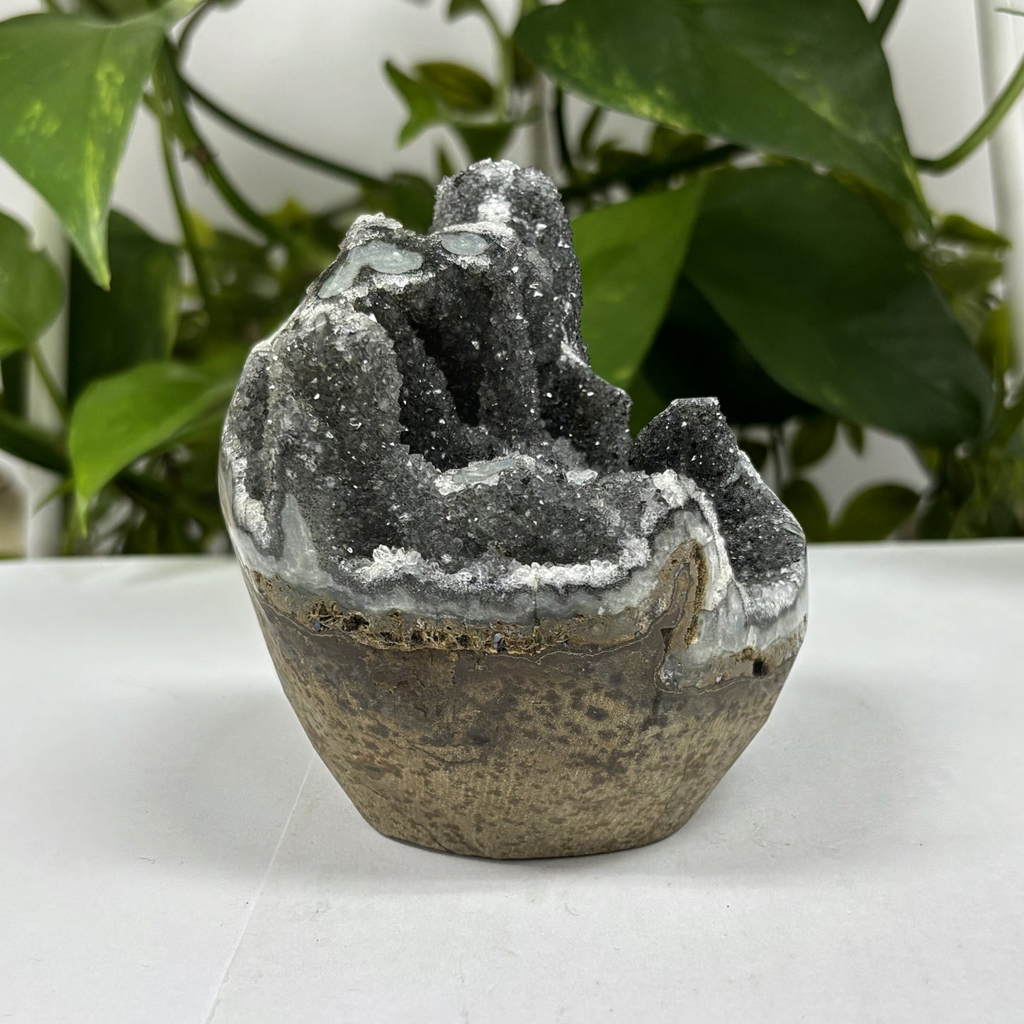 Black Amethyst Cut Base Geode - Gem Avenue