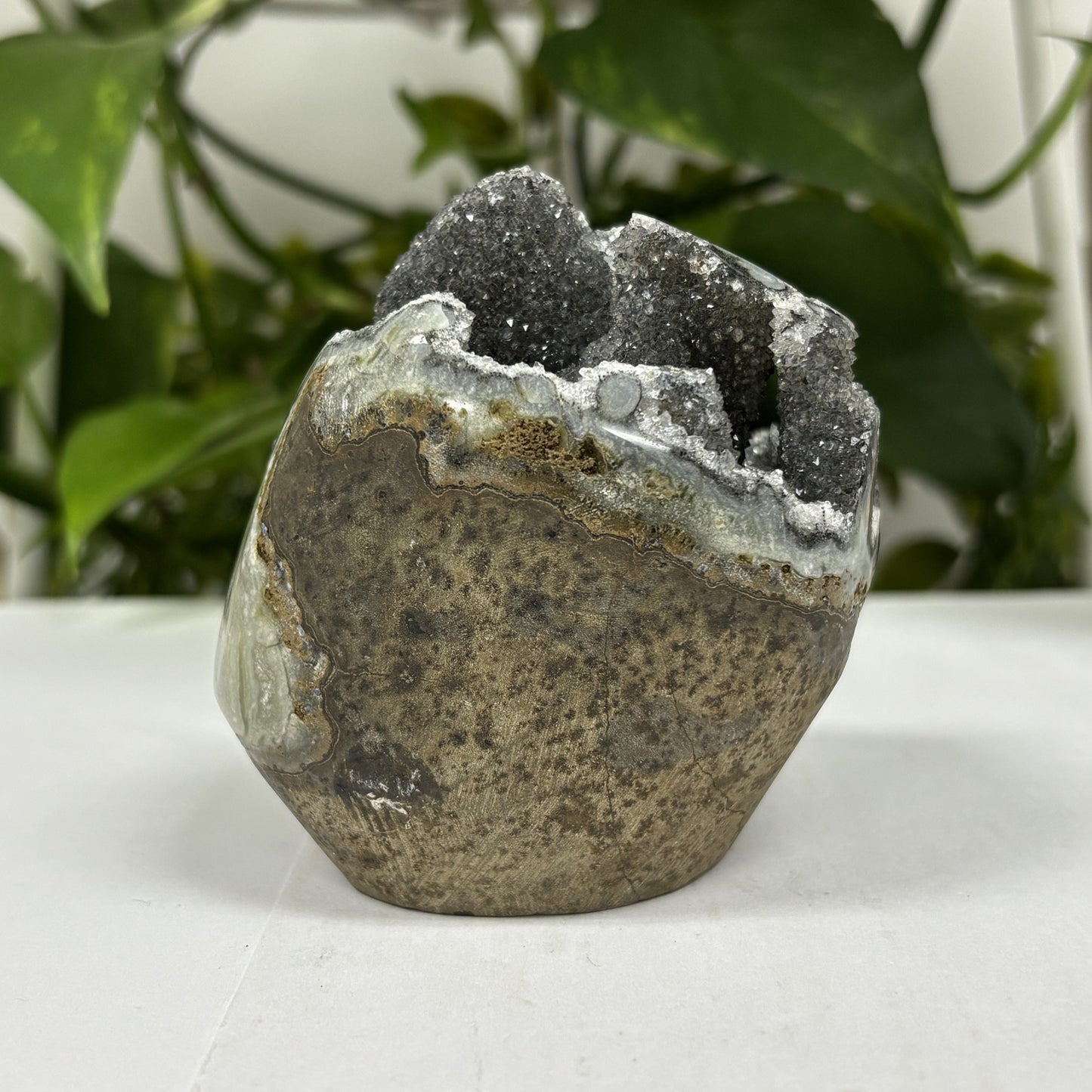 Black Amethyst Cut Base Geode - Gem Avenue