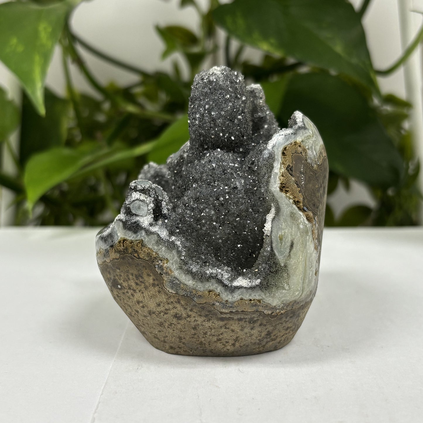 Black Amethyst Cut Base Geode - Gem Avenue