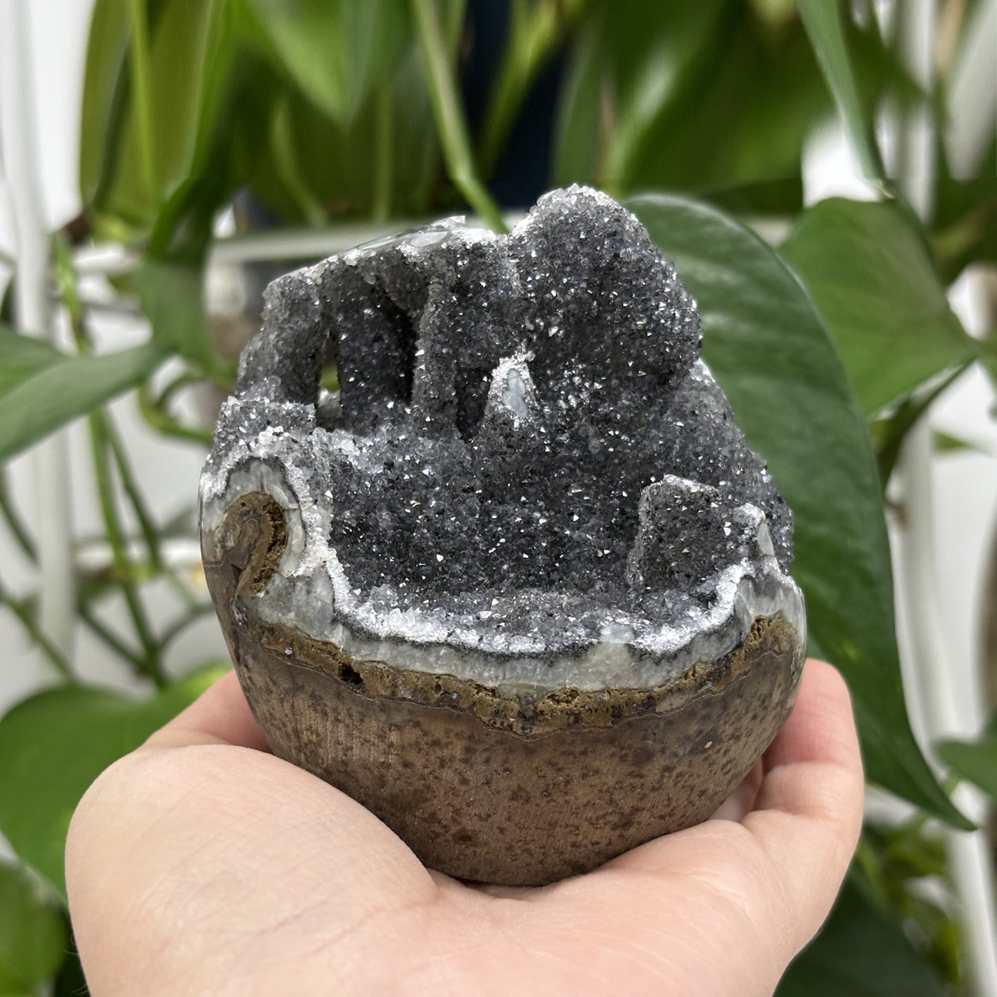 Black Amethyst Cut Base Geode - Gem Avenue