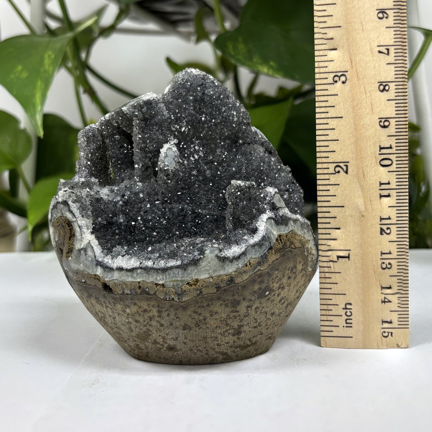 Black Amethyst Cut Base Geode - Gem Avenue