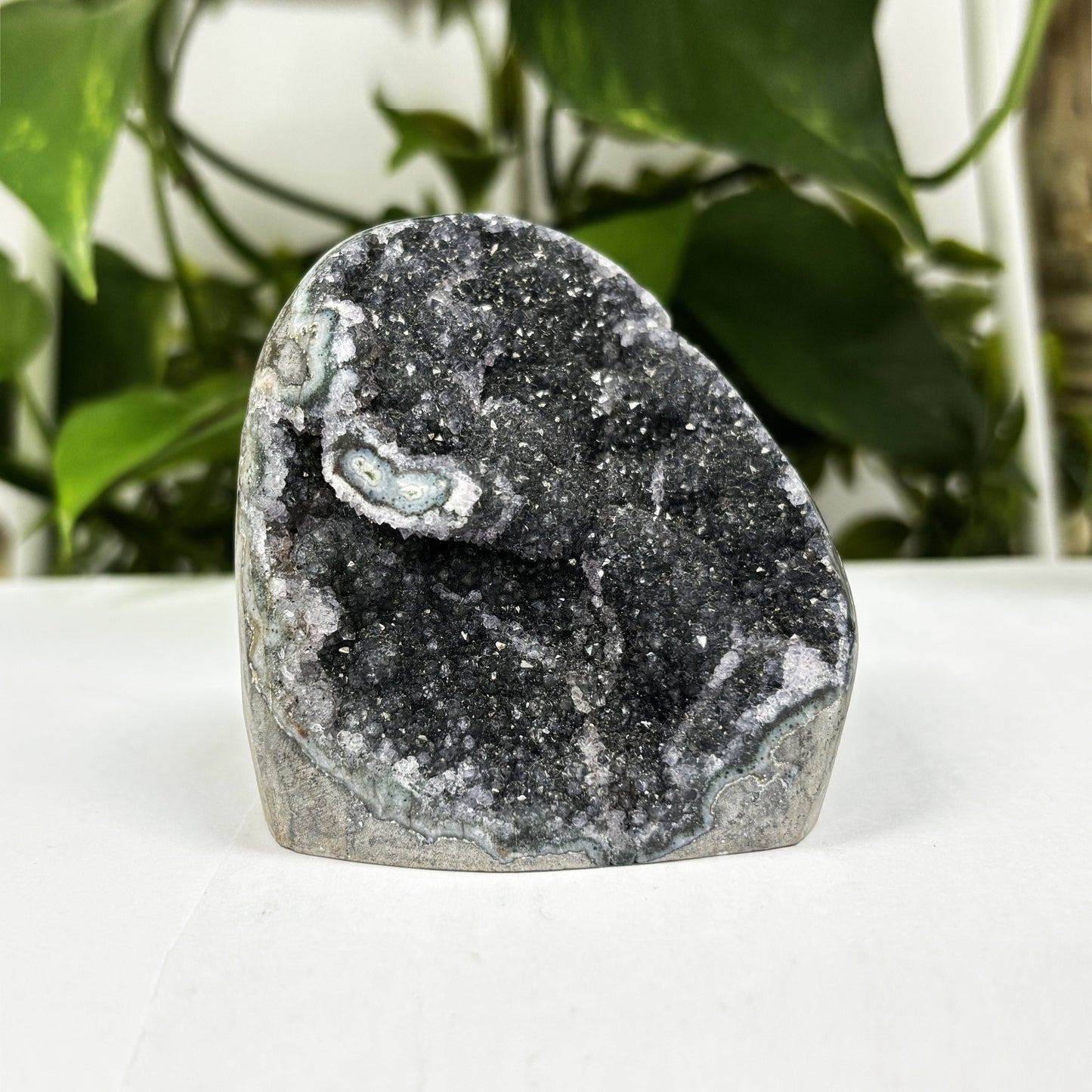 Natural Black Amethyst Cut Base Geode - Gem Avenue