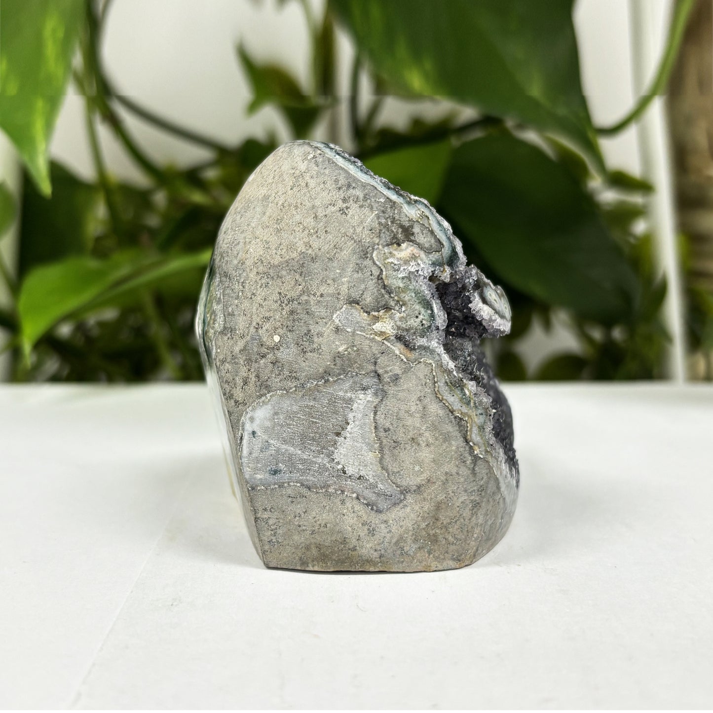Natural Black Amethyst Cut Base Geode - Gem Avenue