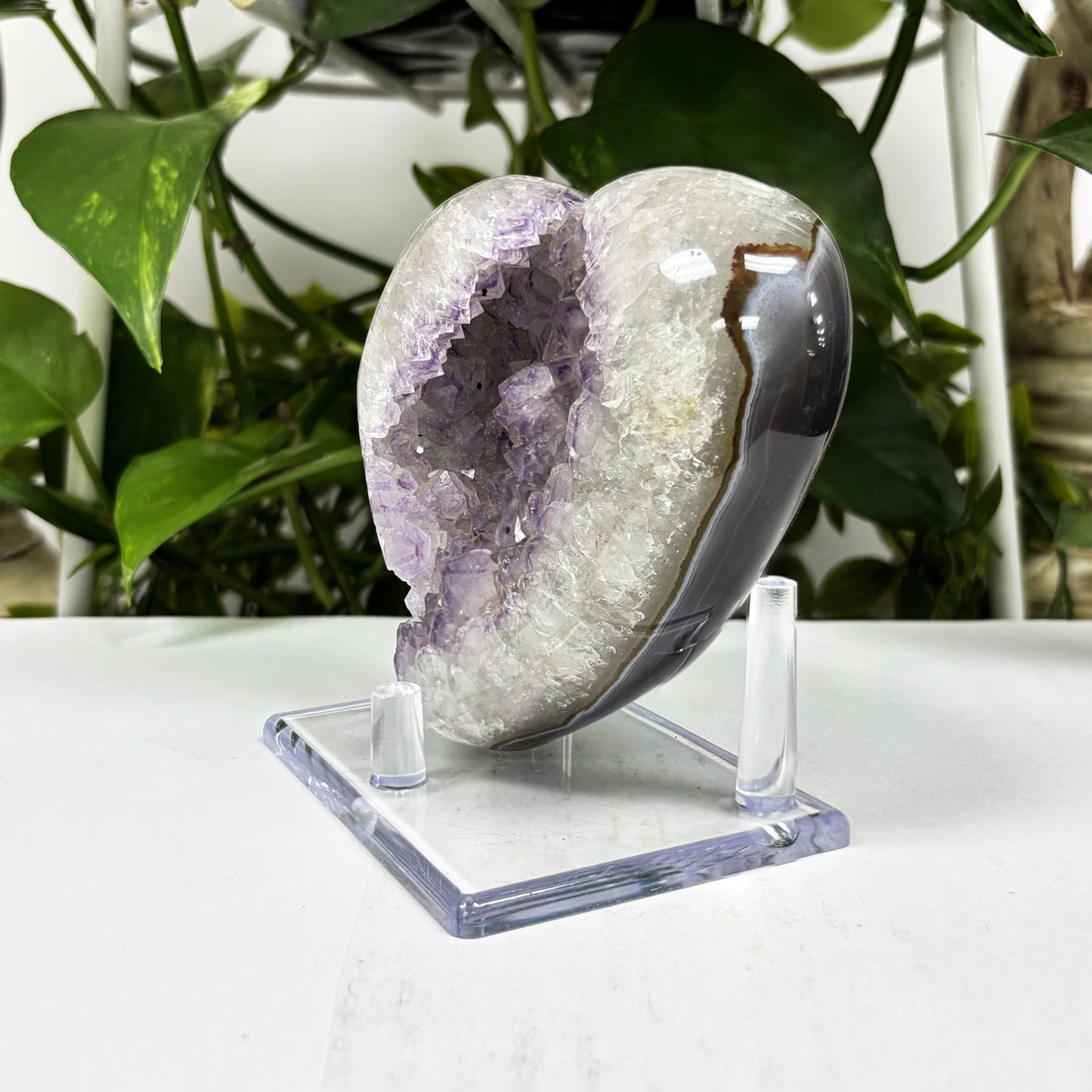 Natural Purple Amethyst Crystal Geode - Gem Avenue