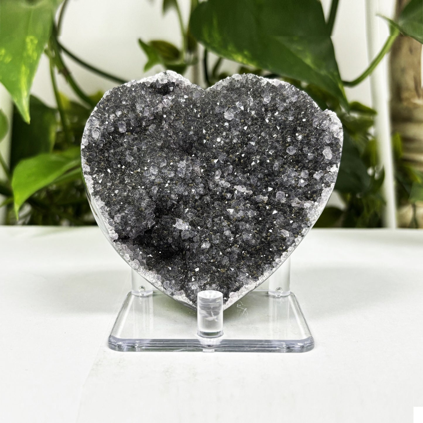 Natural Black Amethyst Crystal Geode - Gem Avenue