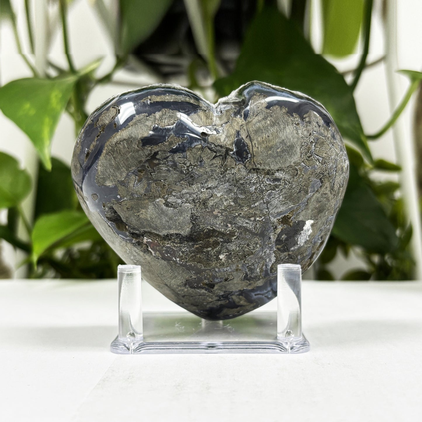 Natural Black Amethyst Crystal Geode - Gem Avenue