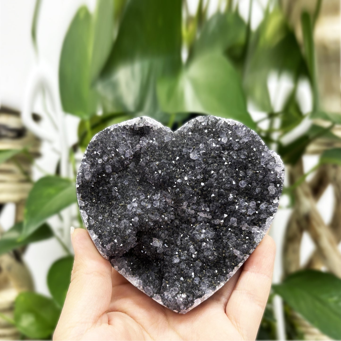 Natural Black Amethyst Crystal Geode - Gem Avenue