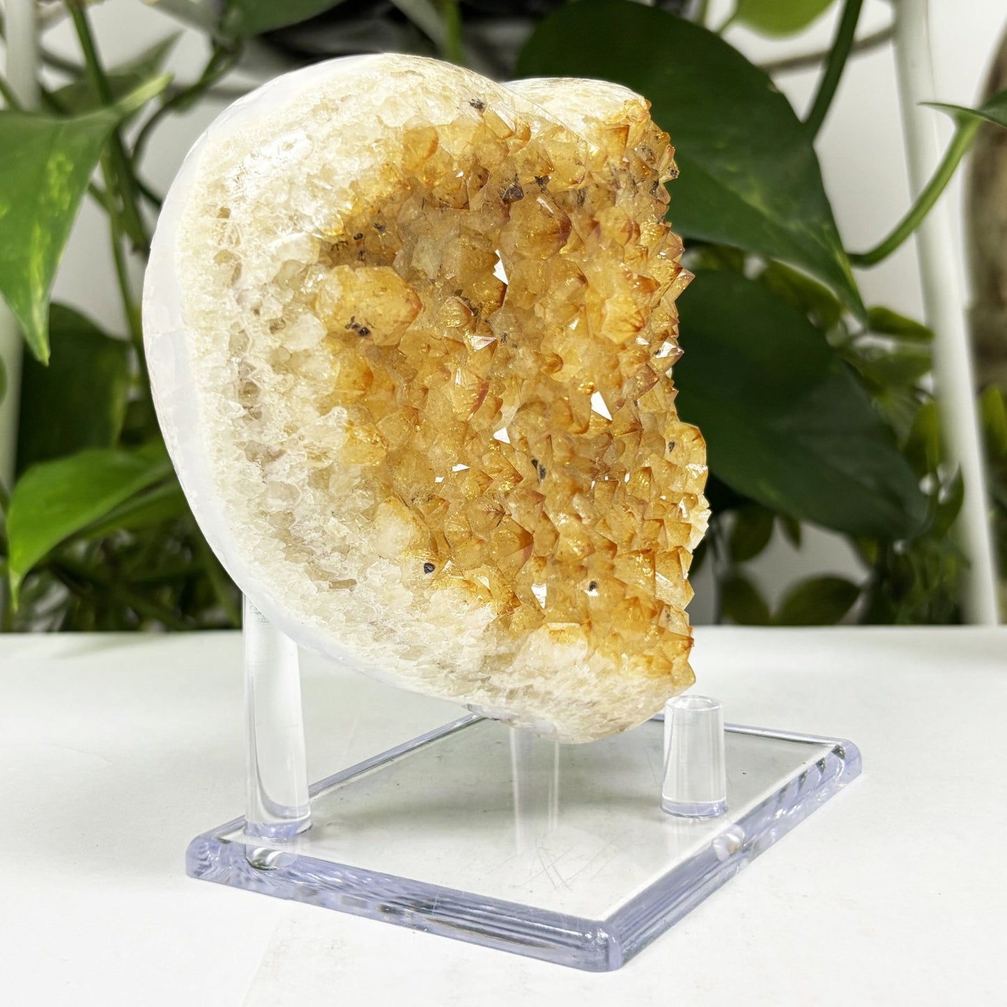 Natural Citrine Crystal Geode - Gem Avenue