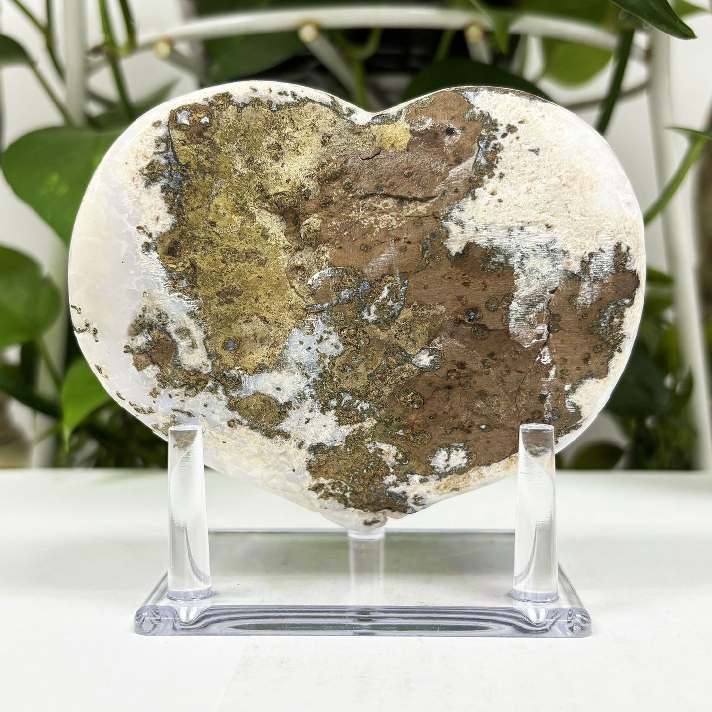 Natural Citrine Crystal Geode - Gem Avenue