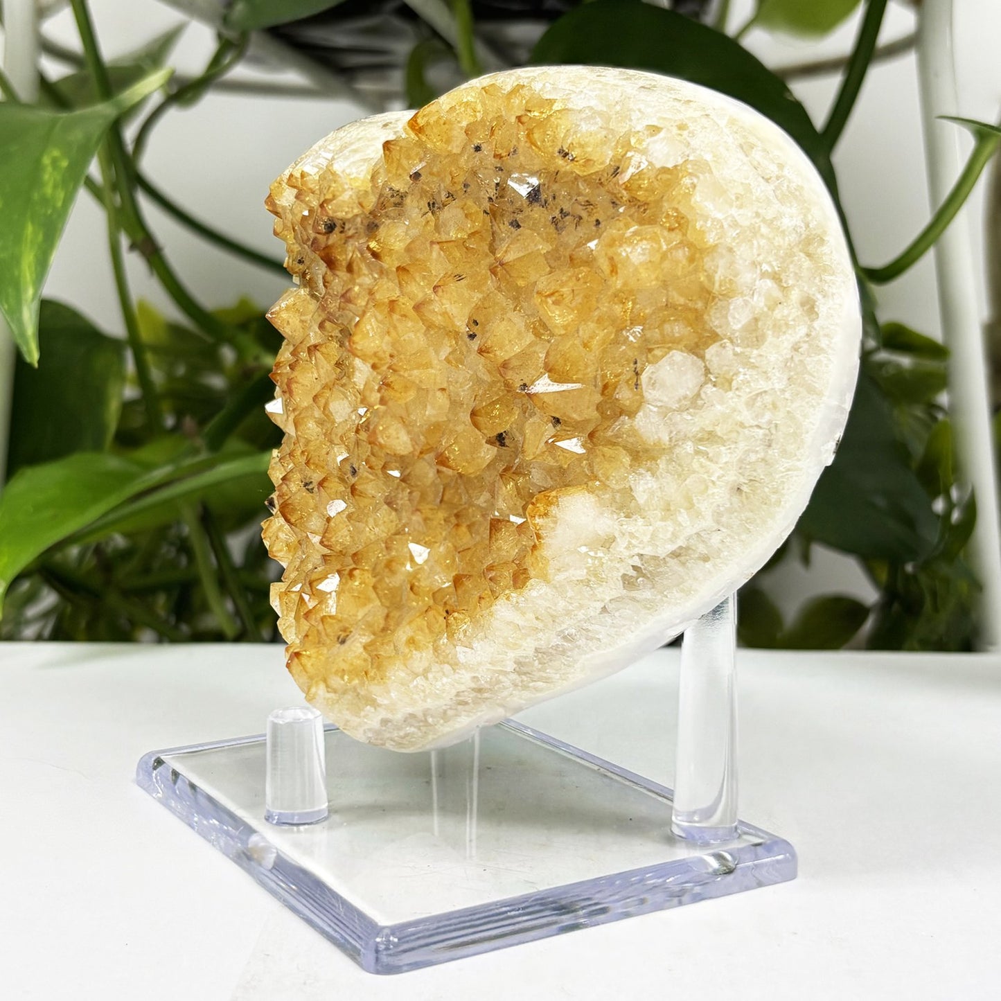 Natural Citrine Crystal Geode - Gem Avenue