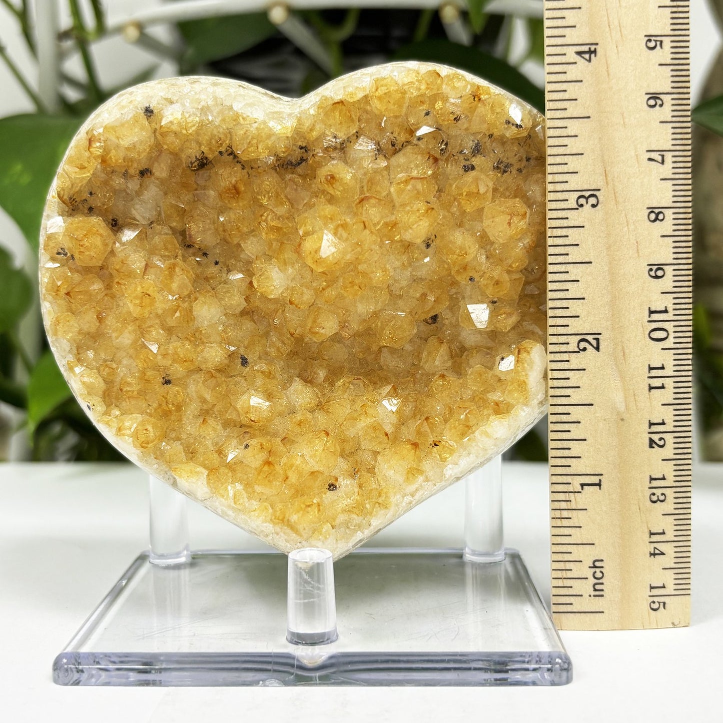Natural Citrine Crystal Geode - Gem Avenue
