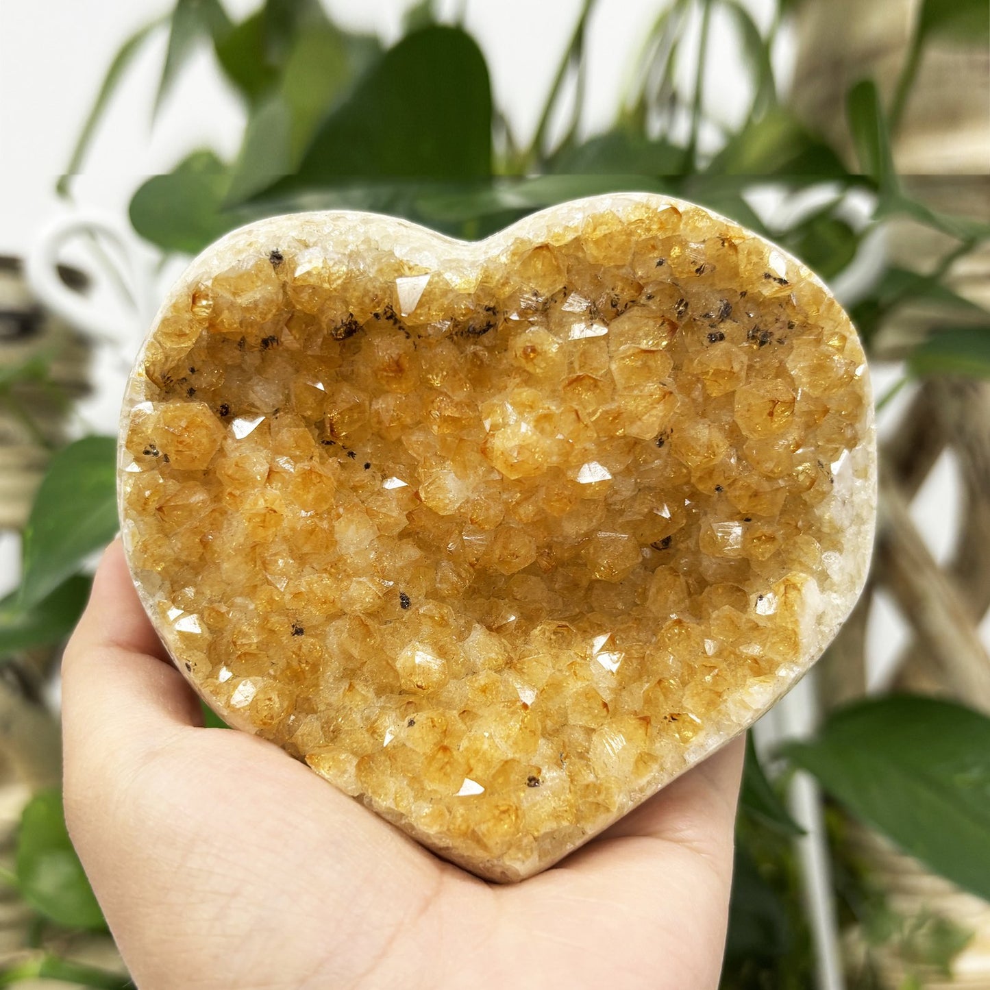 Natural Citrine Crystal Geode - Gem Avenue