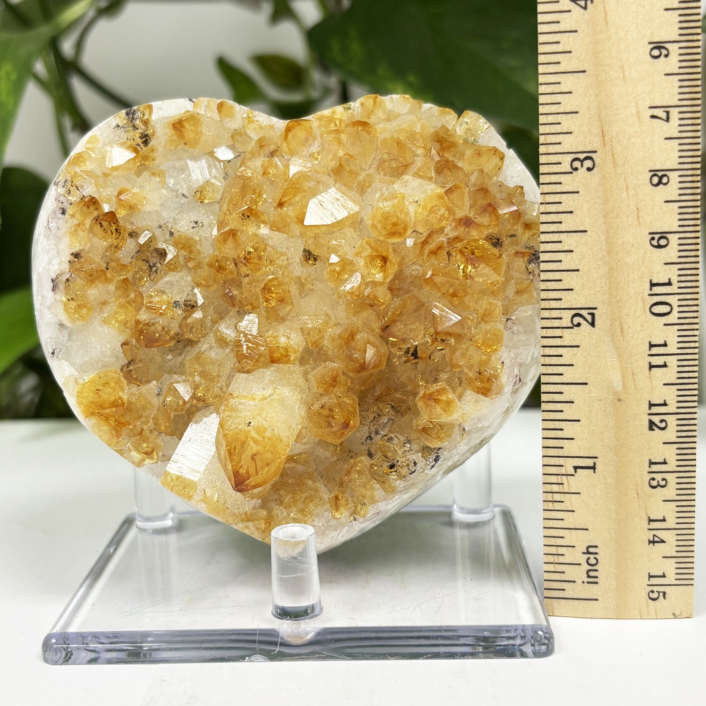 Natural Citrine Heart Shaped Crystal Geode -Gem Avenue