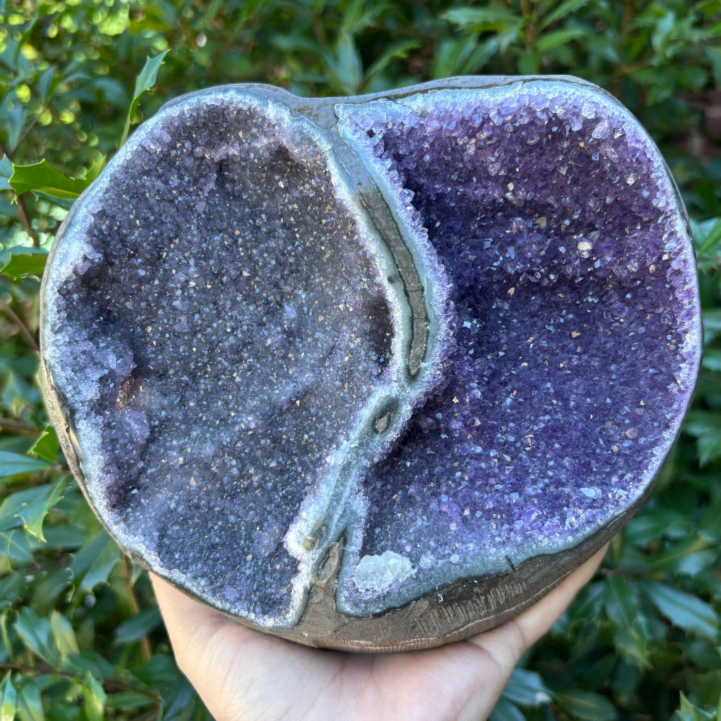 Natural Bi-Color Purple Amethyst Crystal Geode for Energy Healing, Meditation, Home Decor & Crystal Collection - RGD832