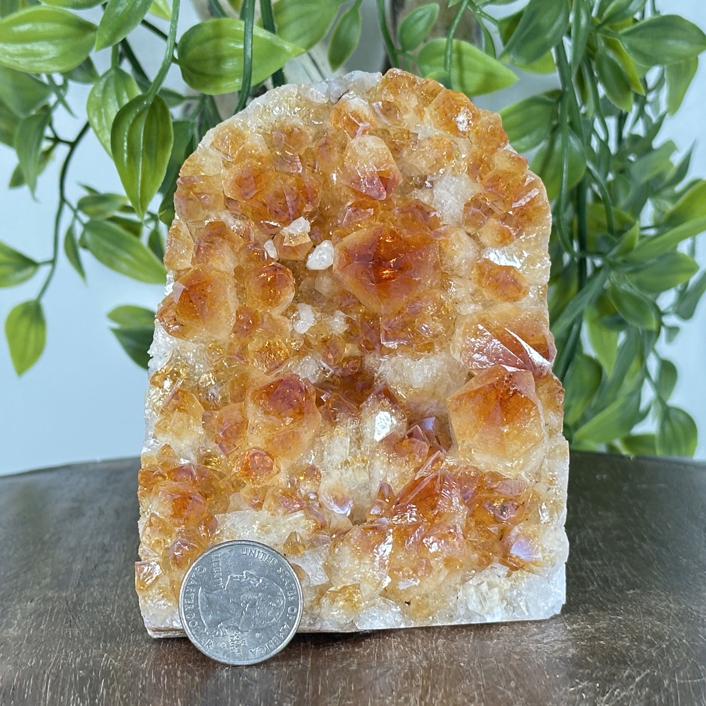 Natural Yellow Citrine Heated Crystal Cluster Geode - Gem Avenue