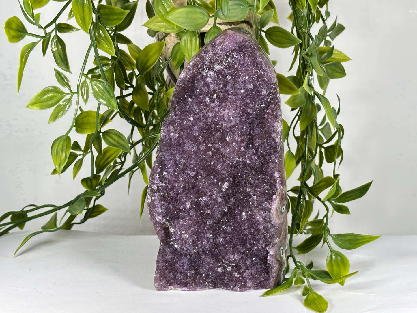 Natural Brazilian Amethyst Druzy Polished Purple Crystal Geode Display Stone - RGD866