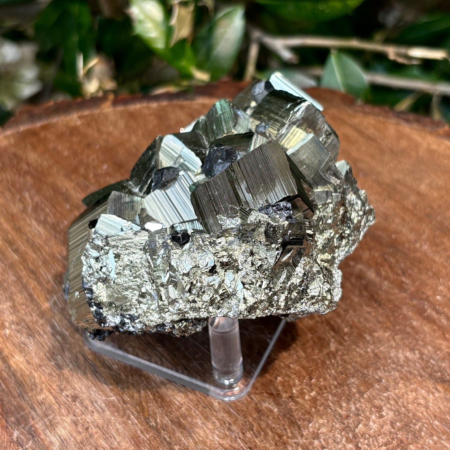 Natural Pyrite Crystal Cluster Cubic Mineral Specimen-Gem Avenue