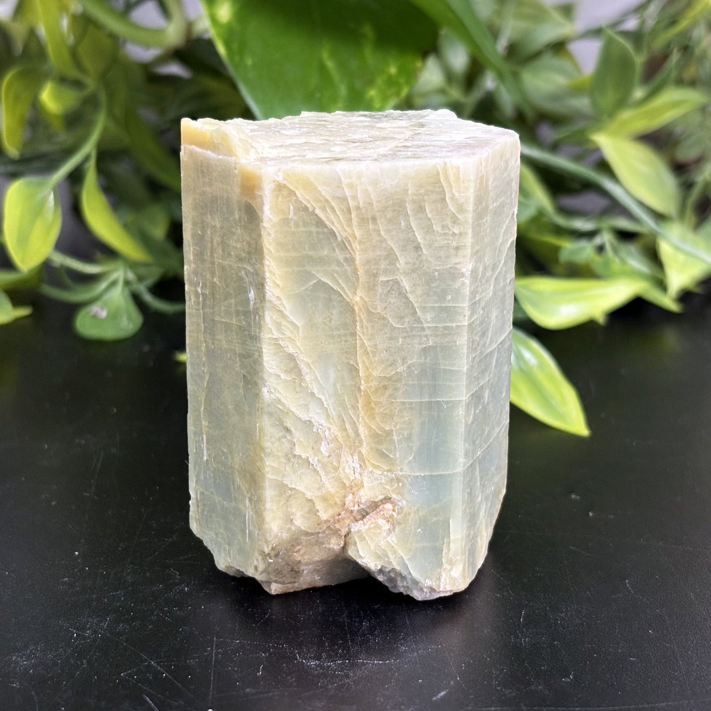 Natural Beryl Crystal Mineral Specimen Raw Healing Gemstone for Meditation, Energy Work, Home Decor & Rare Collectors Display Stone - RMI723