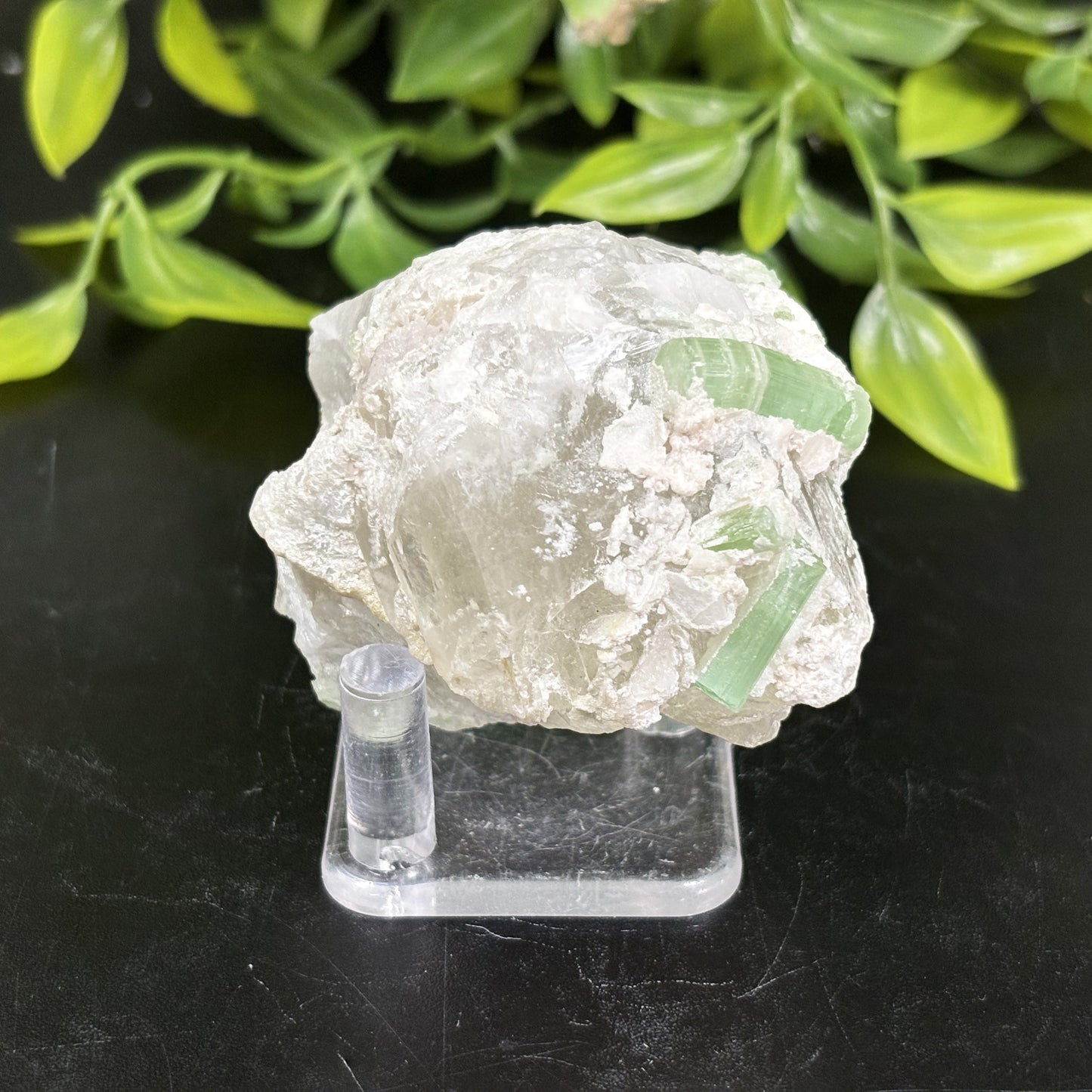 Natural Green Tourmaline Crystal Mineral Specimen Powerful Healing Stone for Heart, Meditation & Collectors Display - RMI736