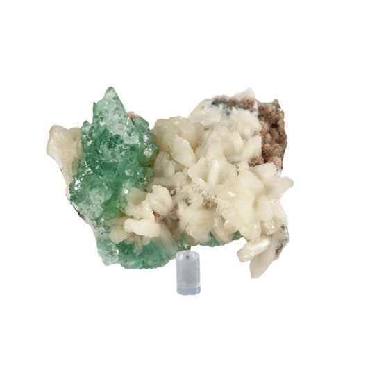 Green Apophyllite Mineral Specimen -Gem Avenue