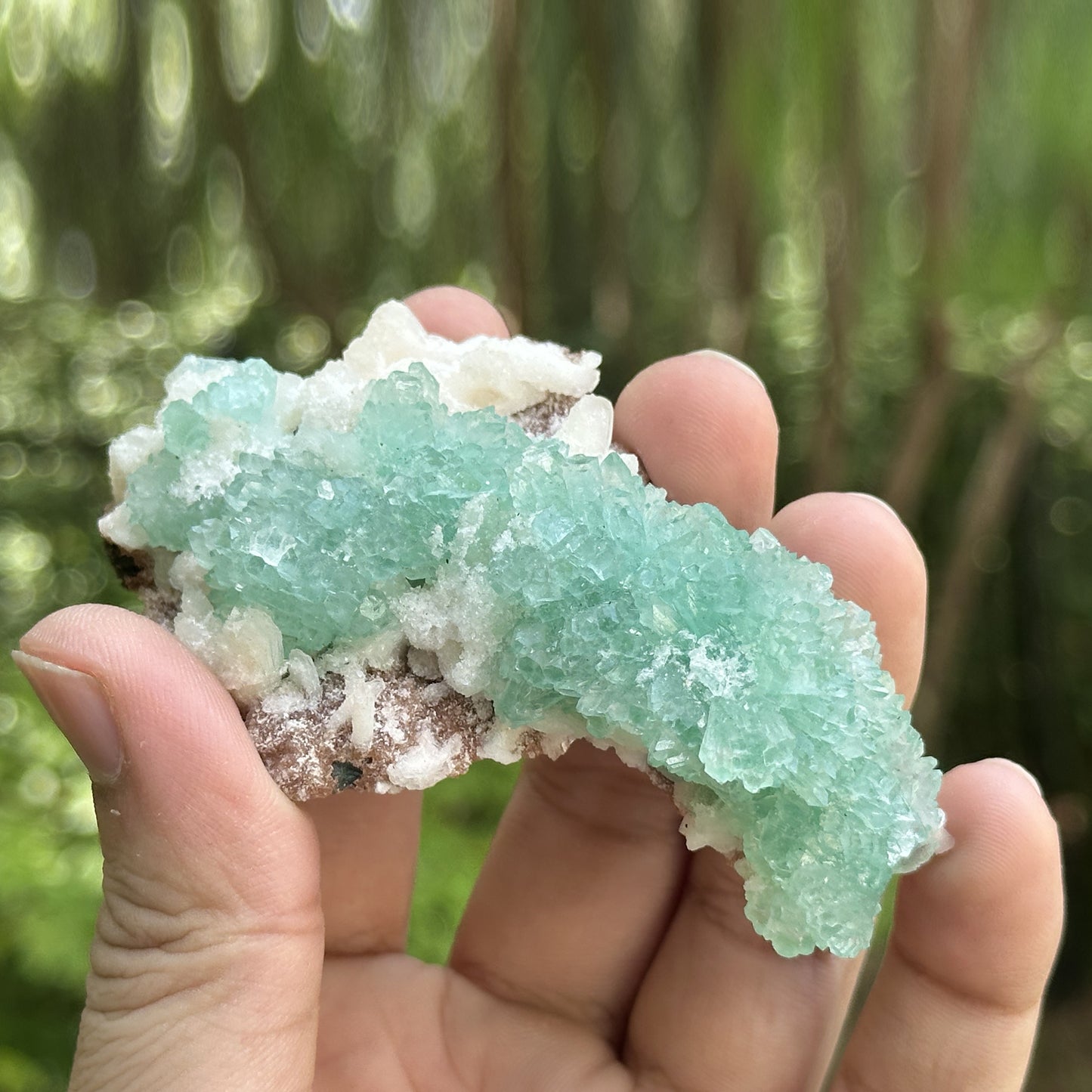 Green Apophyllite Crystal Mineral Specimen - Gem Avenue