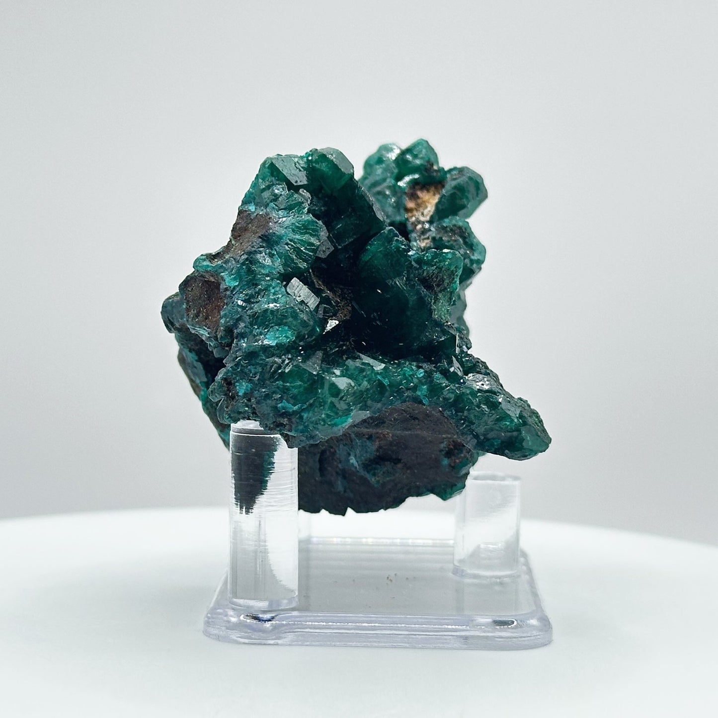 Natural Green Dioptase Crystal Mineral Specimen - Gem Avenue