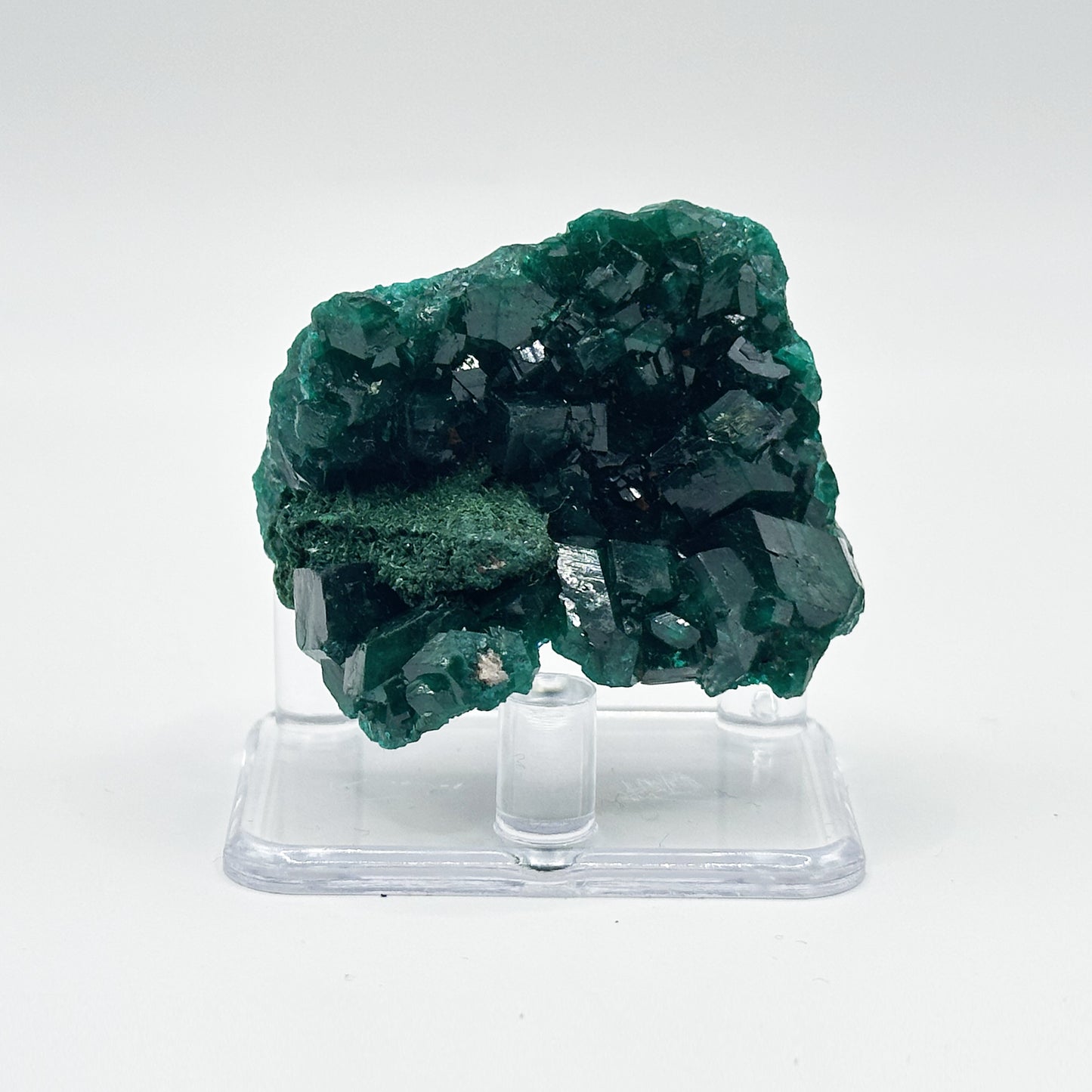Natural Dioptase Crystal Rare Green Mineral Specimen - Gem Avenue
