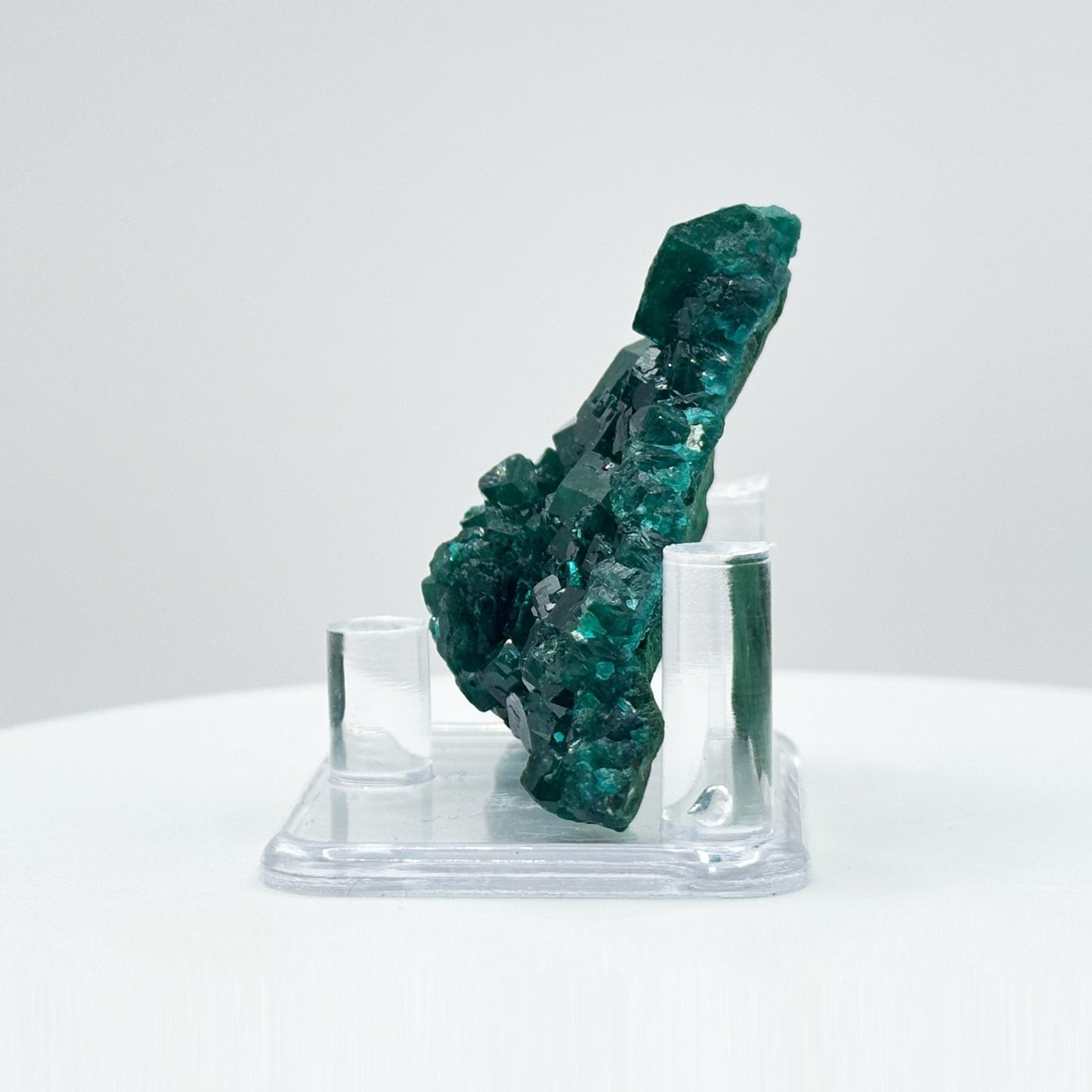 Natural Green Dioptase Crystal Mineral Specimen - Gem Avenue