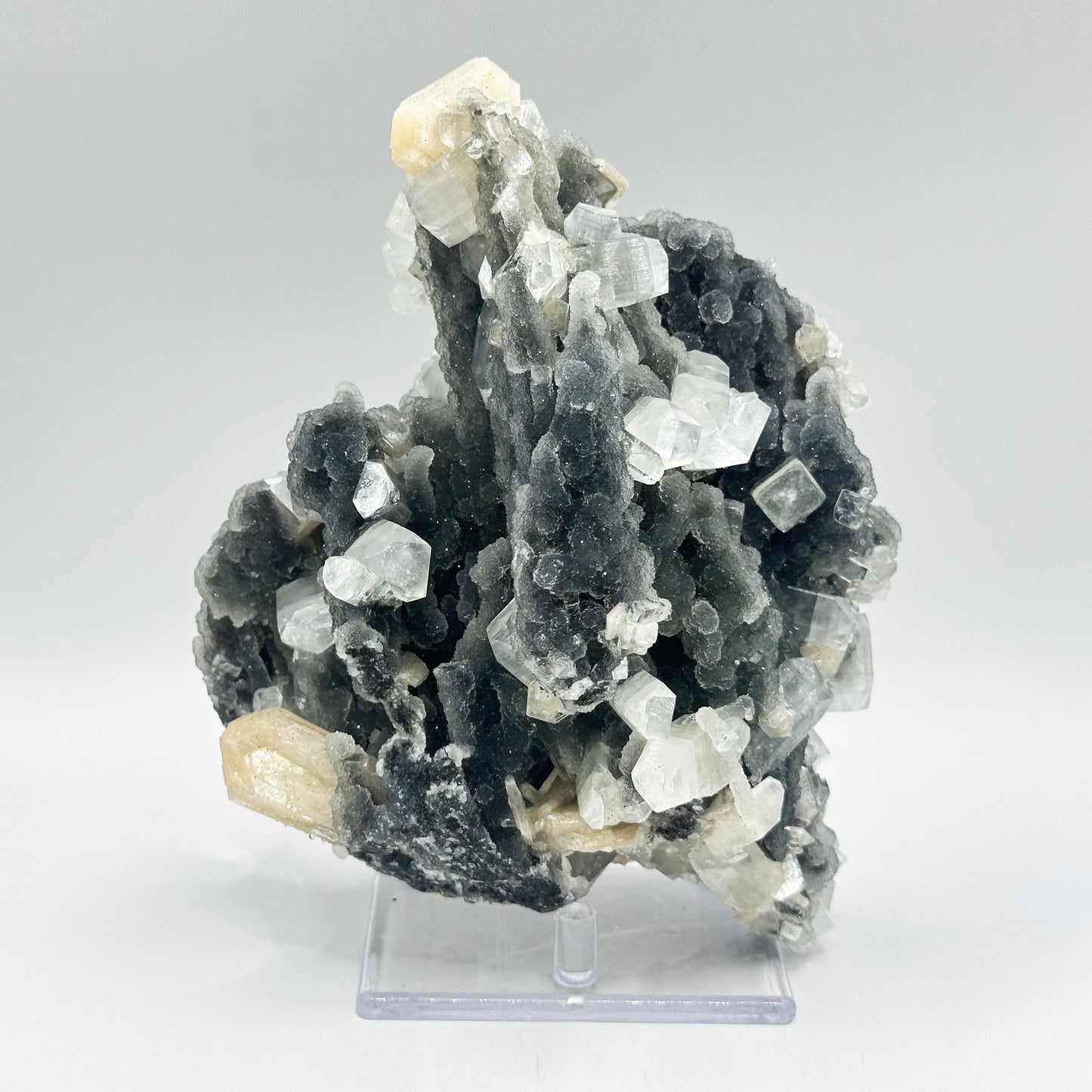 Natural Chalcedony Stilbite Apopyllite - Gem Avenue