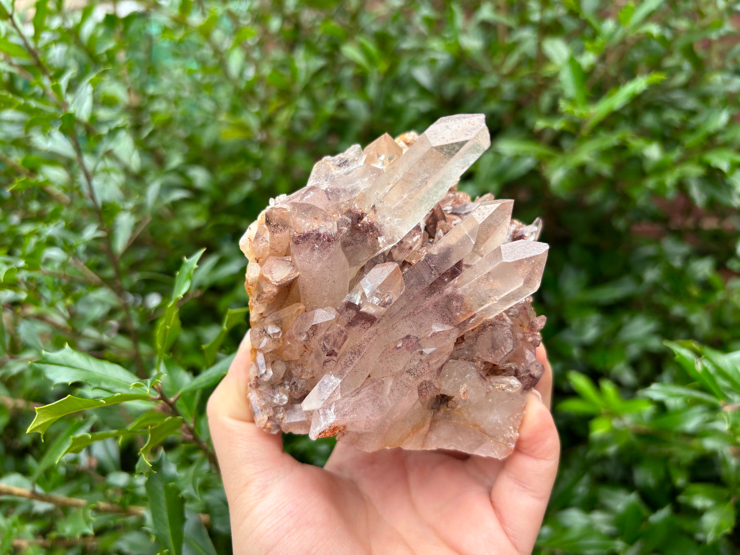 Natural Phantom Quartz Crystal Cluster Raw Mineral Specimen for Healing, Meditation, Energy Work & Home Dcor - RMI811
