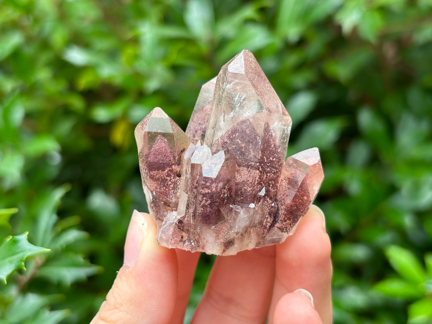 Natural Phantom Quartz Unique Crystal Cluster Mineral Specimen for Healing, Meditation, Energy Work & Collectors - RMI812