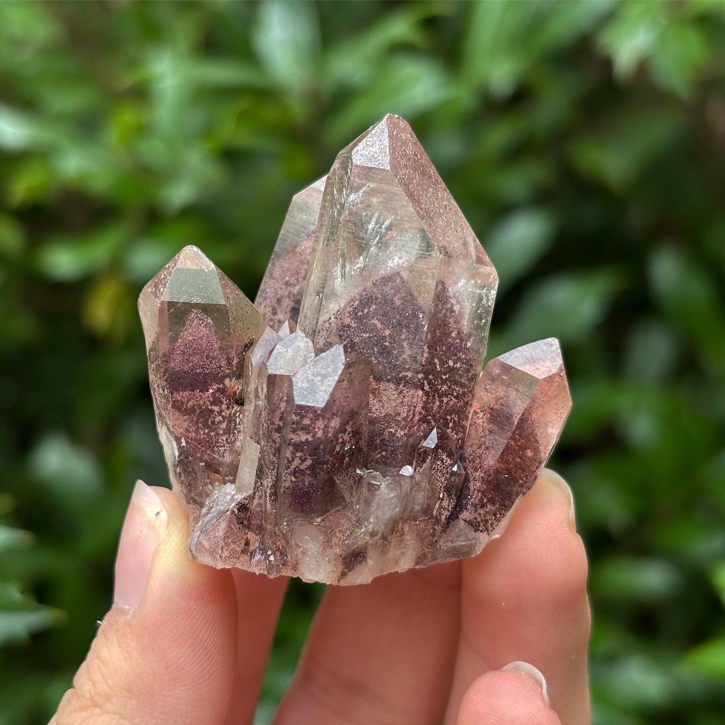 Natural Phantom Quartz Unique Crystal Cluster Mineral Specimen for Healing, Meditation, Energy Work & Collectors - RMI812