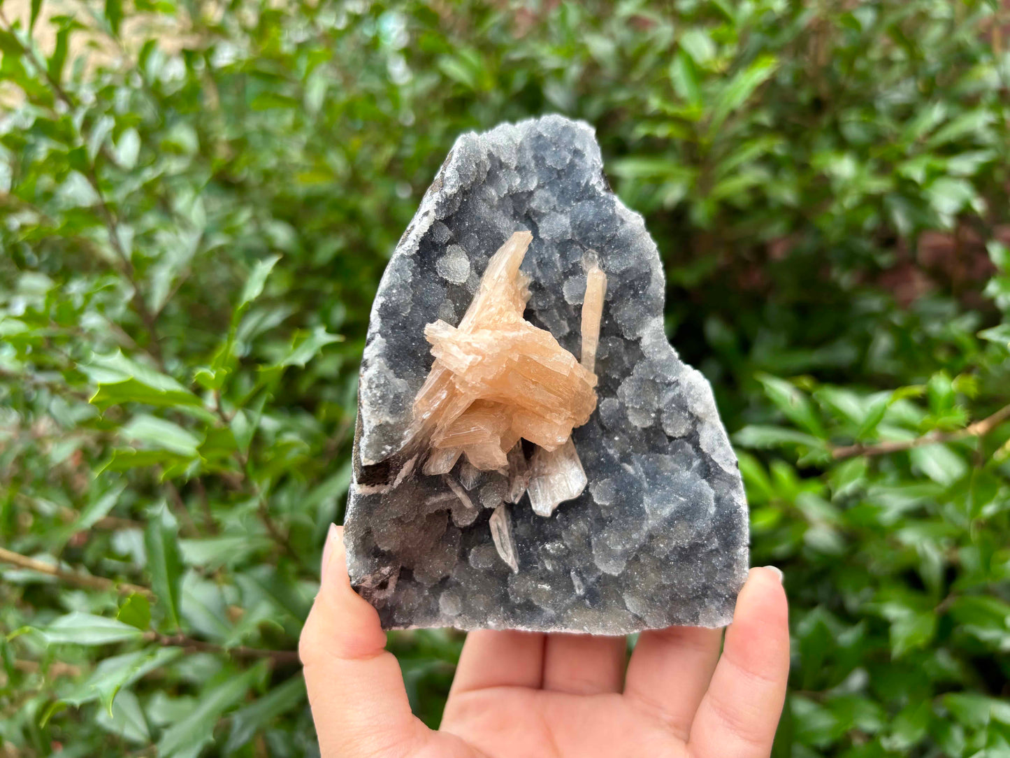 Natural Stilbite on Chalcedony Rare Peach Stilbite Crystal Cluster Mineral Specimen for Healing, Meditation, Energy Work, Collectors & Home Decor - RMI815