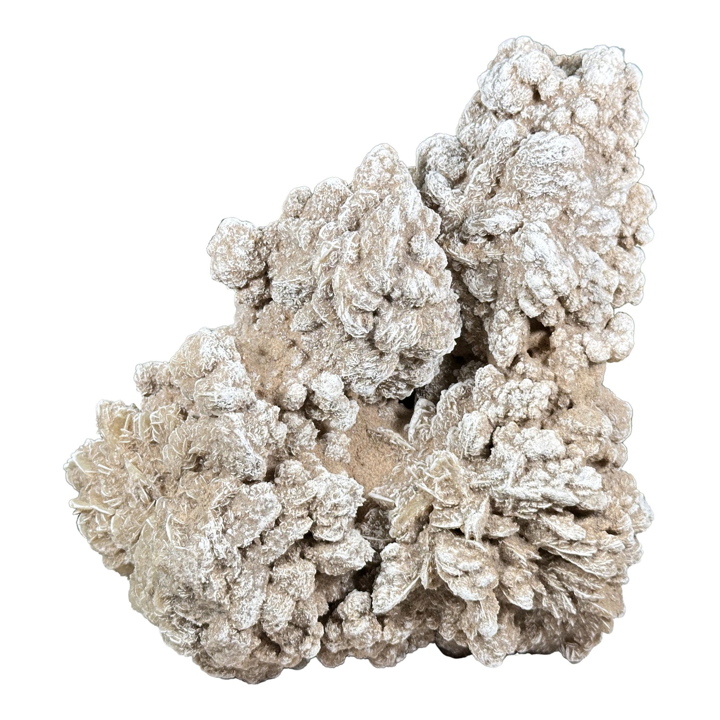 Desert Rose Mineral Specimen - Gem Avenue Retail