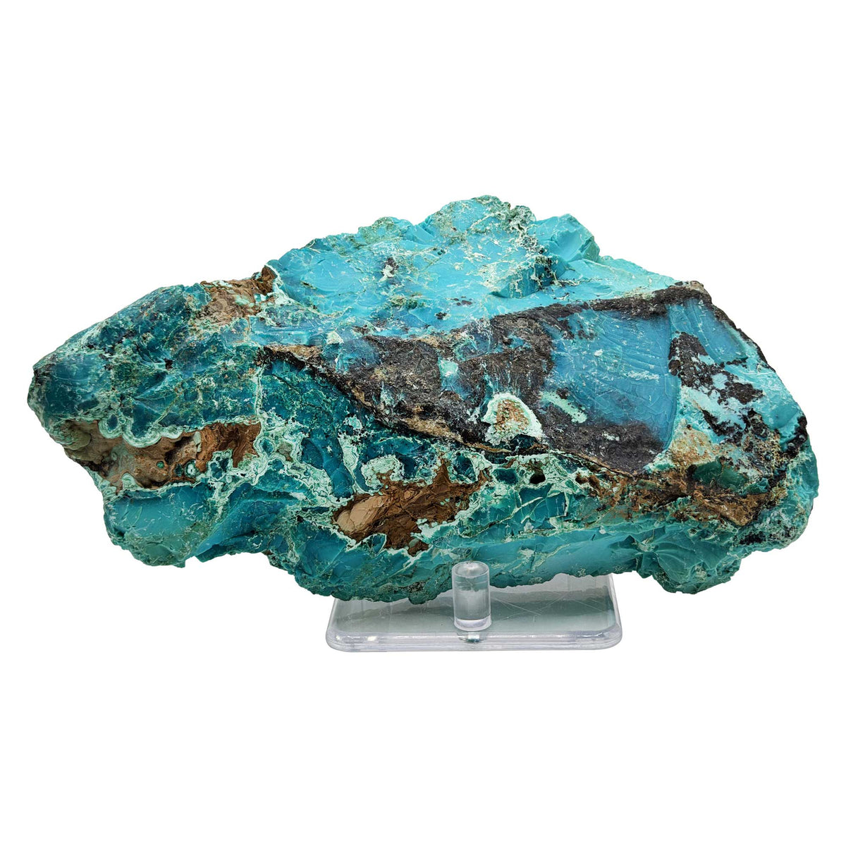 Chrysocolla Mineral Specimen - Gem Avenue Retail