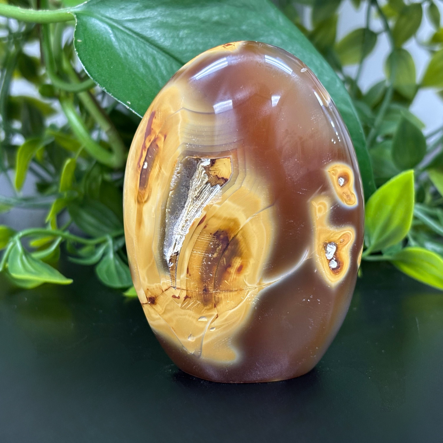 Natural Carnelian Freeform Crystal – Polished Healing Stone for Energy, Creativity & Décor – RPS452