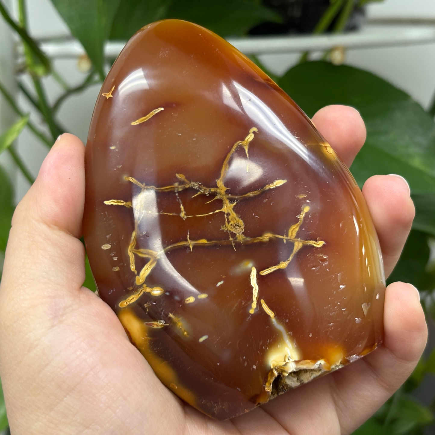 Natural Carnelian Freeform Crystal For Decoration – RPS453