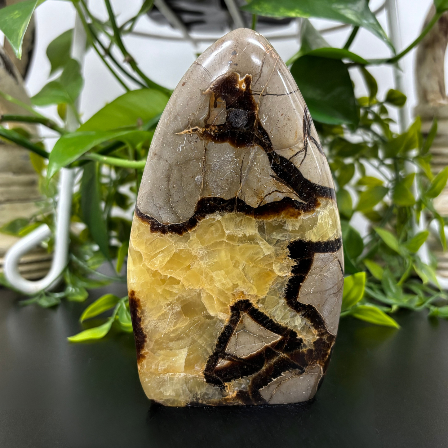 Natural Septarian Self-Standing Freeform Rock Polished Healing Stone - RPS455