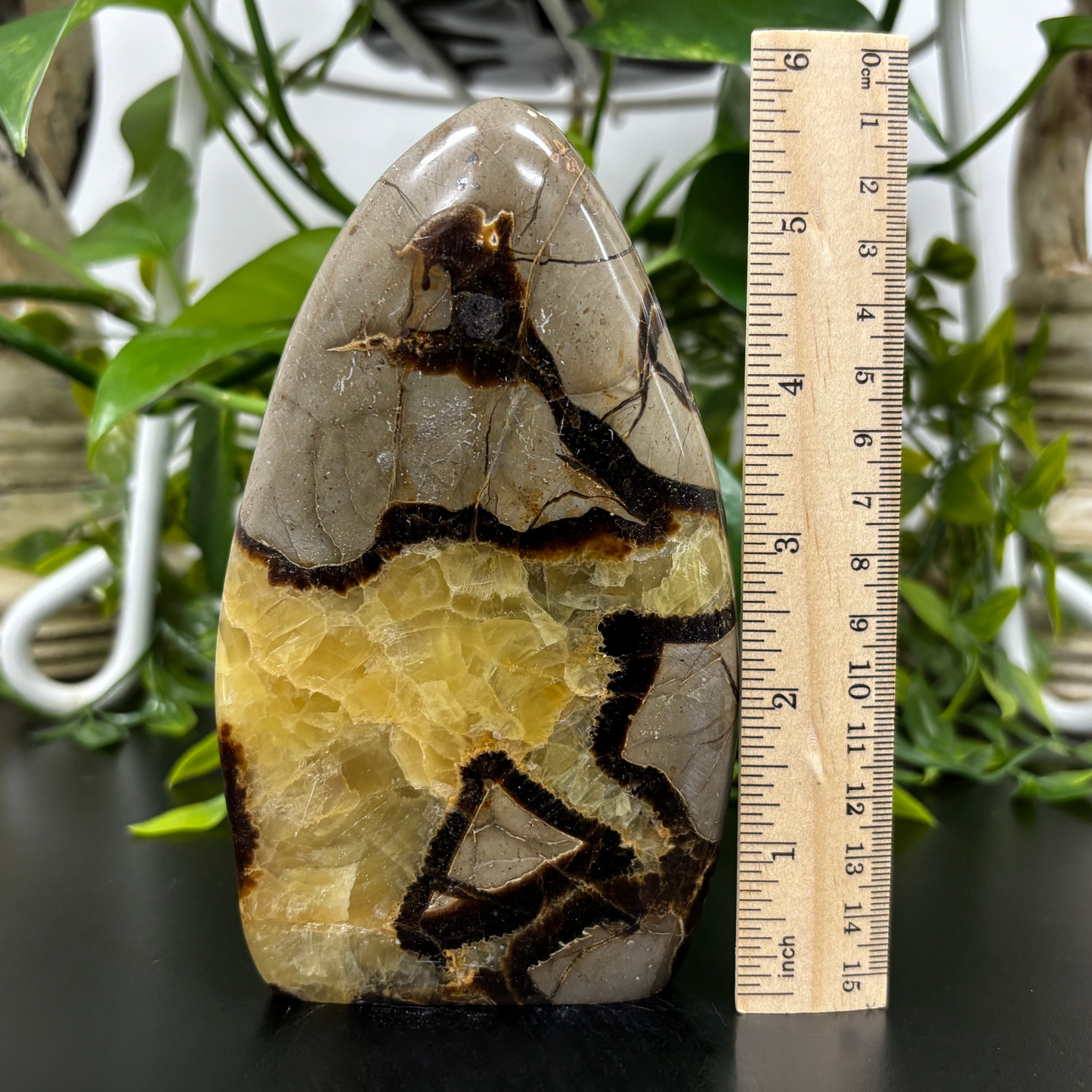 Natural Septarian Self-Standing Freeform Rock Polished Healing Stone - RPS455
