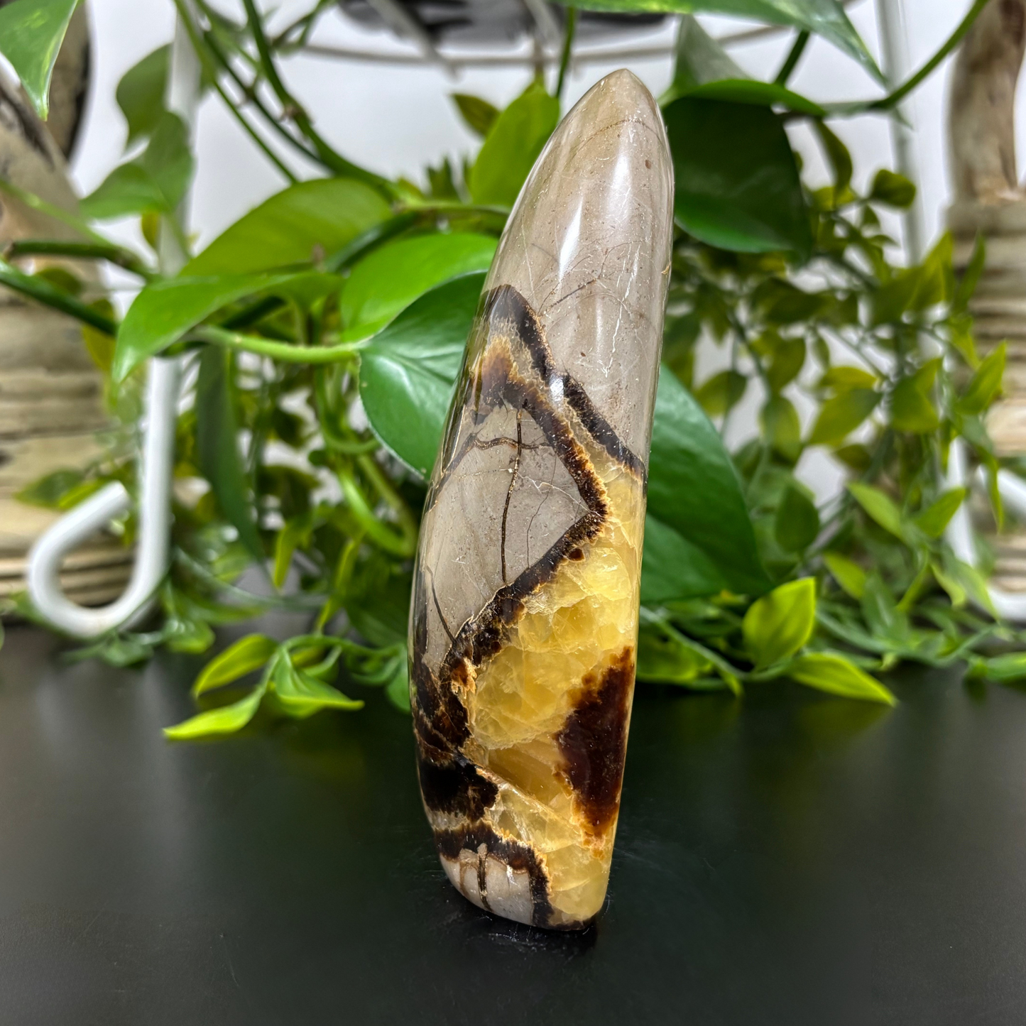 Natural Septarian Self-Standing Freeform Rock Polished Healing Stone - RPS455