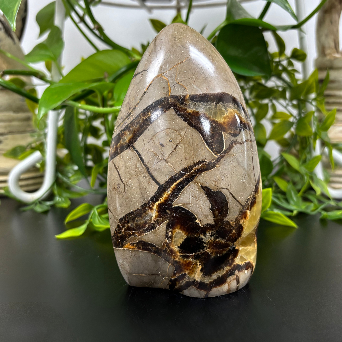 Natural Septarian Self-Standing Freeform Rock Polished Healing Stone - RPS455