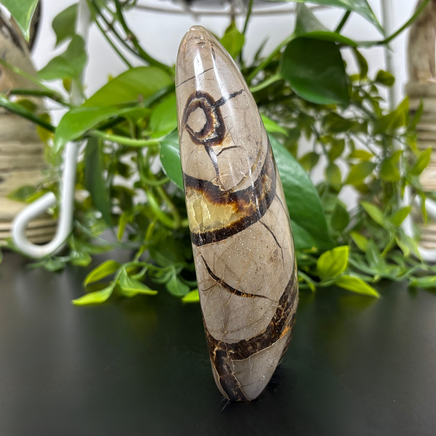 Natural Septarian Self-Standing Freeform Rock Polished Healing Stone - RPS455