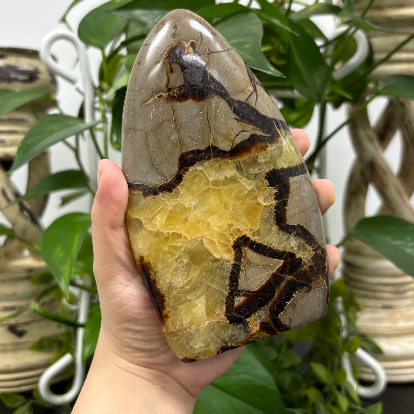 Natural Septarian Self-Standing Freeform Rock Polished Healing Stone - RPS455