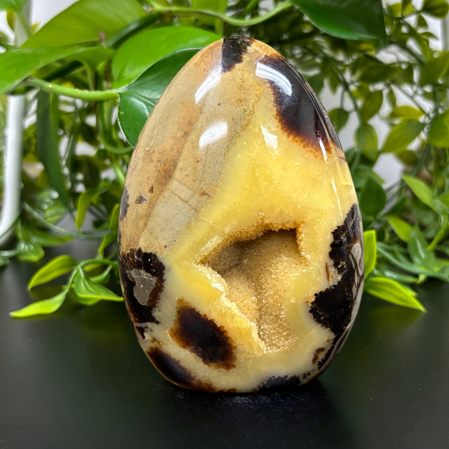 Natural Septarian Freeform Rock Polished Self-Standing Healing Stone - RPS456