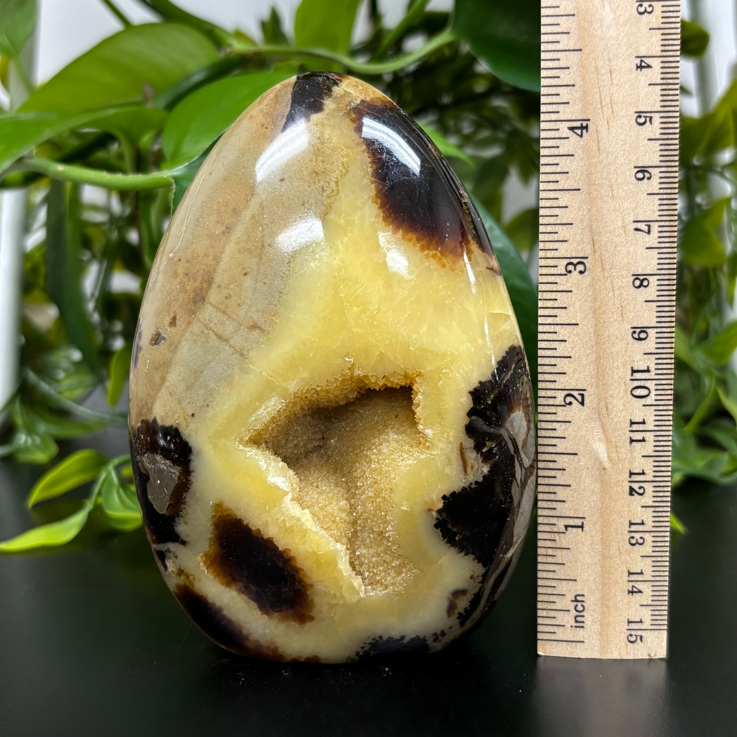 Natural Septarian Freeform Rock Polished Self-Standing Healing Stone - RPS456