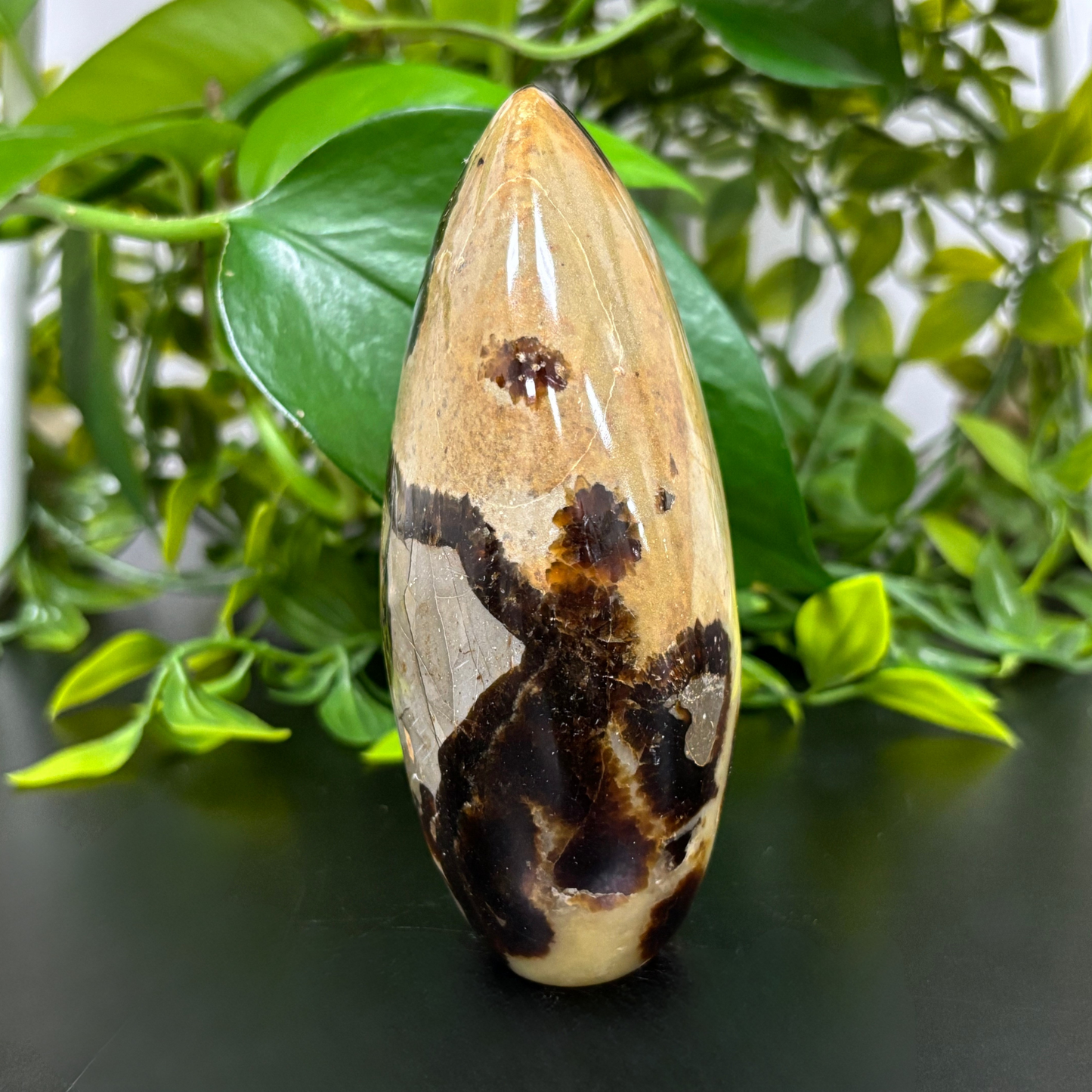 Natural Septarian Freeform Rock Polished Self-Standing Healing Stone - RPS456