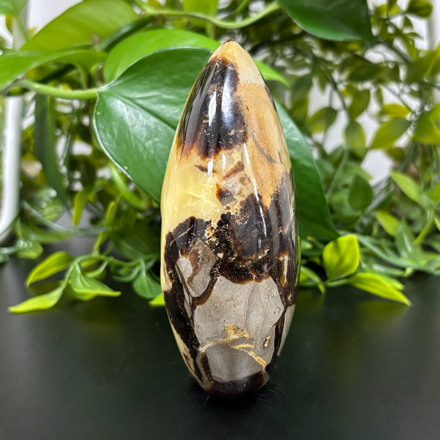 Natural Septarian Freeform Rock Polished Self-Standing Healing Stone - RPS456