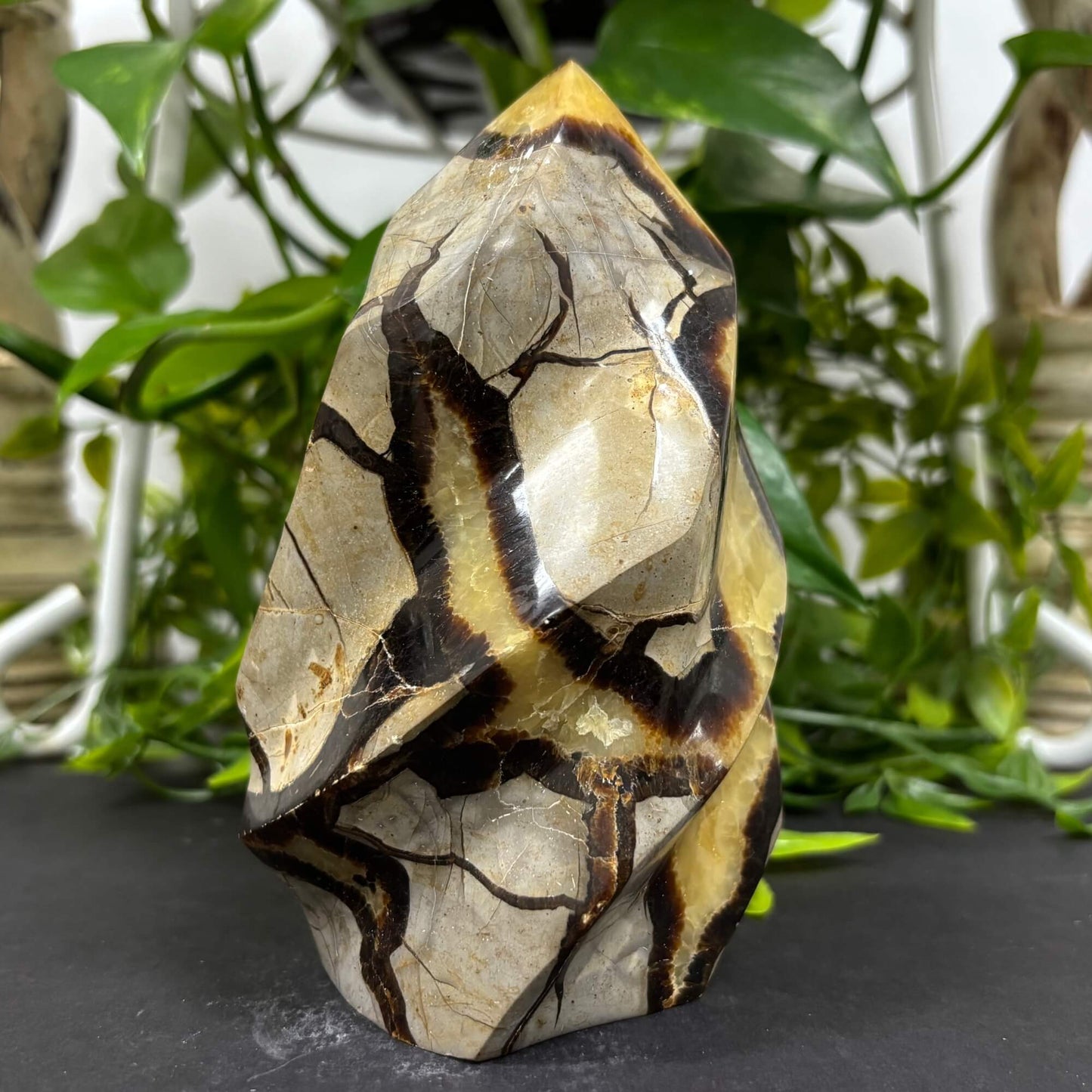 Natural Septarian Self-Standing Flame - RPS463
