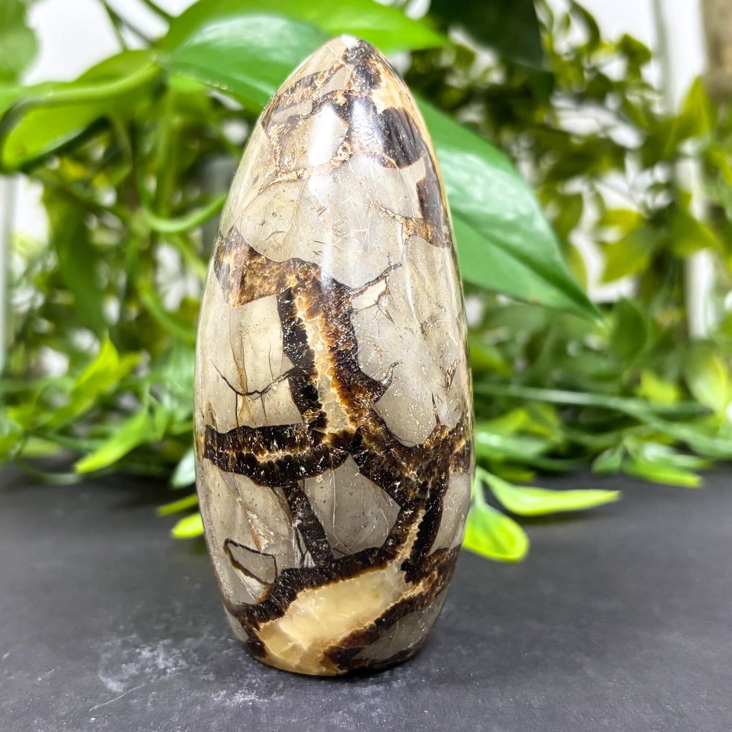Natural Septarian Self-Standing Freeform Rock Polished Healing Stone for Home Décor-RPS464